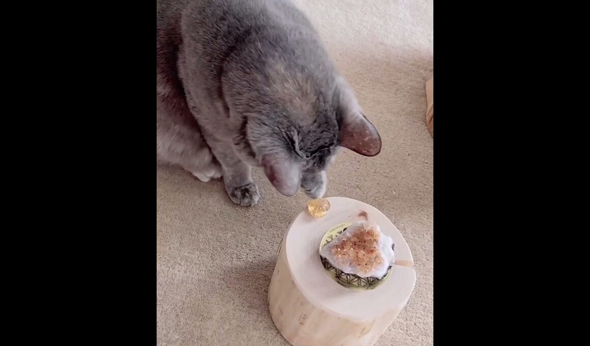 「今ここ」と背中で語るモミちゃん♡