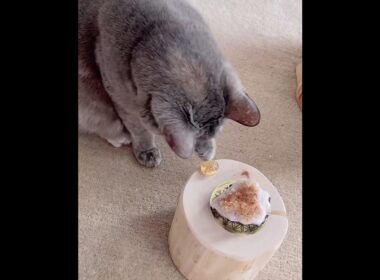 「今ここ」と背中で語るモミちゃん♡