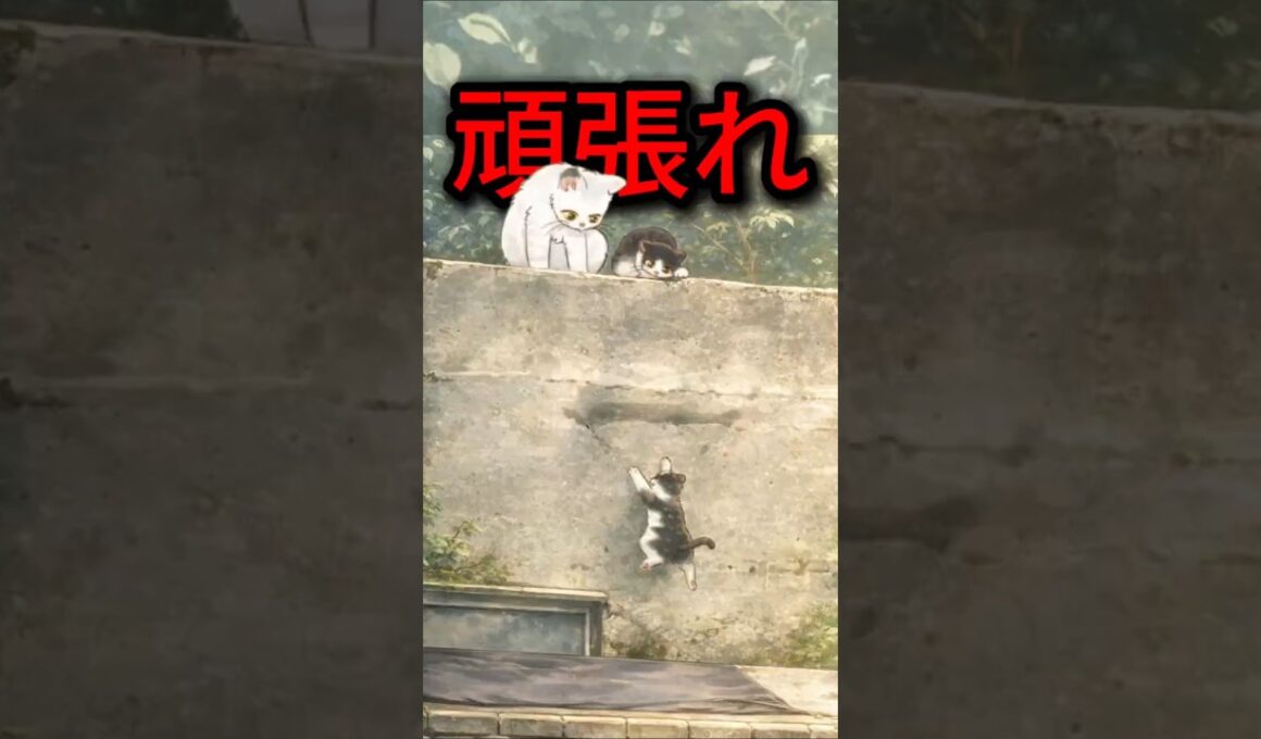 見捨てたんじゃない…子猫に教えていたこと