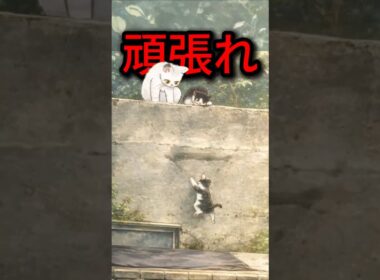 見捨てたんじゃない…子猫に教えていたこと