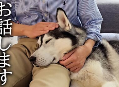 発見された腫瘍についてお知らせいたします...