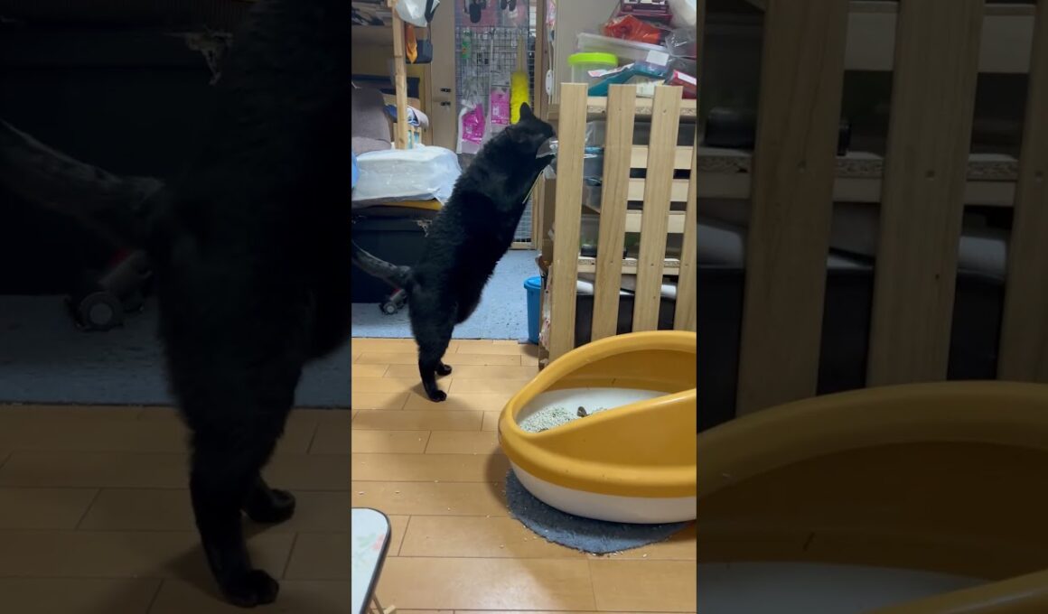 あとで遊ぼう！って言ったから【約束だからｗ】