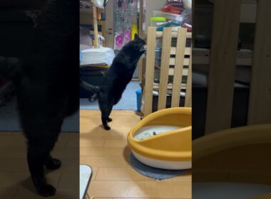 あとで遊ぼう！って言ったから【約束だからｗ】