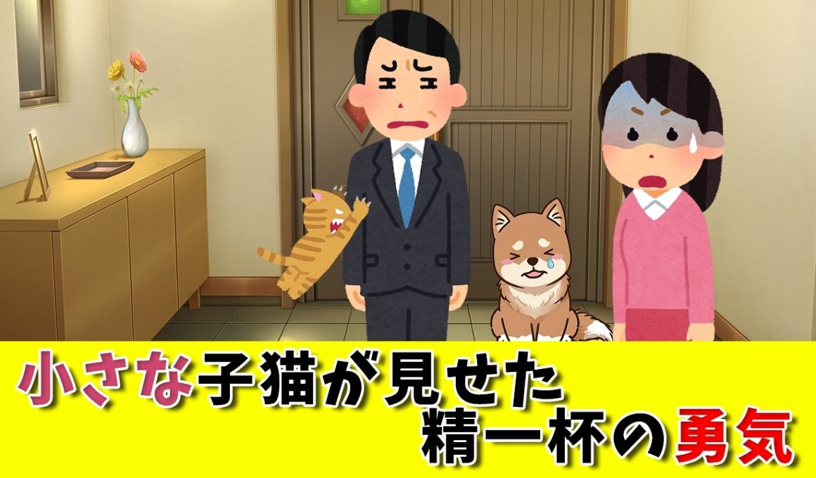 守る側だった犬が、守られた。震える子猫が「本当の強さ」を見せた瞬間。　#犬と猫 #保護猫 #感動する話