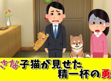 守る側だった犬が、守られた。震える子猫が「本当の強さ」を見せた瞬間。　#犬と猫 #保護猫 #感動する話