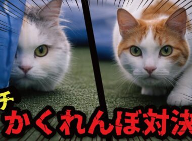 猫たちがお庭でガチかくれんぼしてました