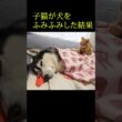 子猫が犬をふみふみした結果...笑#shorts #子ネコ