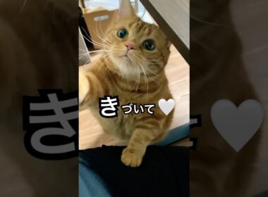 いつもと違うところ、気づいた？#shorts