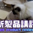 バーマン猫ラフとウリ【新製品講評】New product reviews（バーマン猫）Birman/Cat