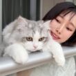 生まれて初めて桜を見た子猫がこうなった…w