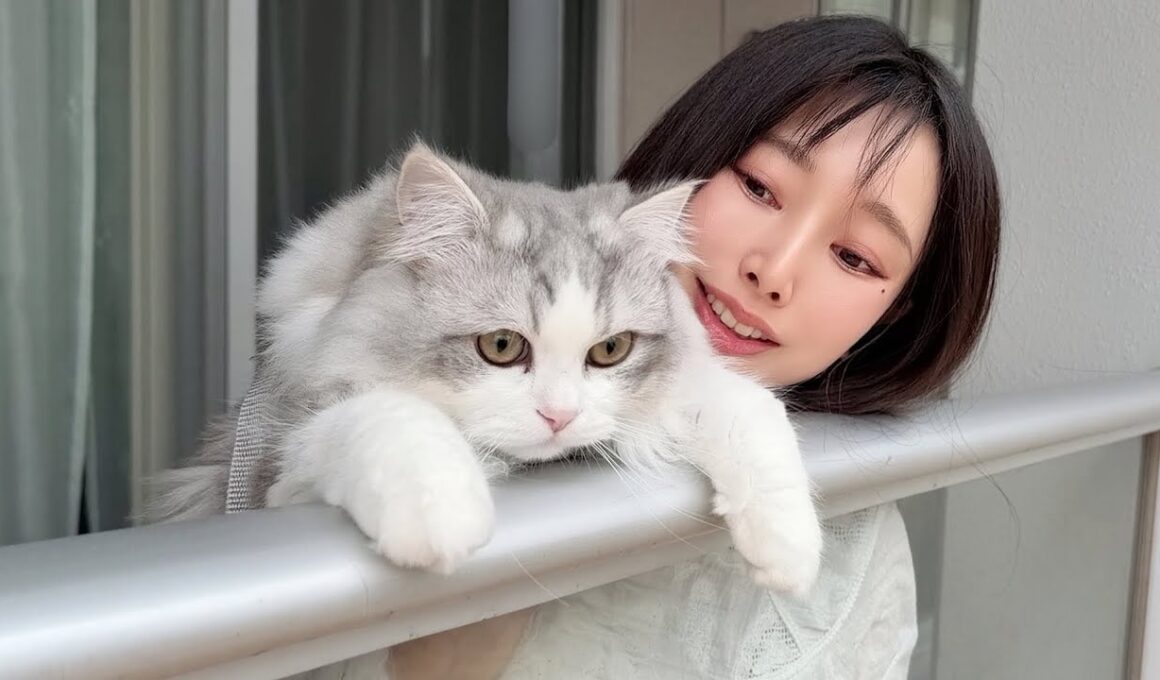 生まれて初めて桜を見た子猫がこうなった…w