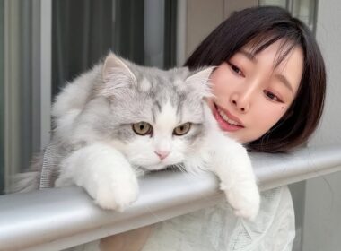 生まれて初めて桜を見た子猫がこうなった…w