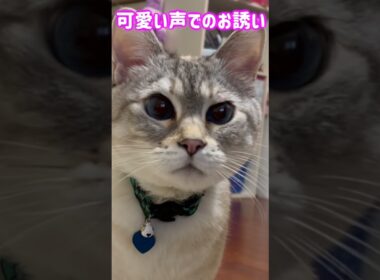 可愛い声でのお誘い