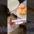 シャムちゃん3歳のお誕生日おめでとう🎀