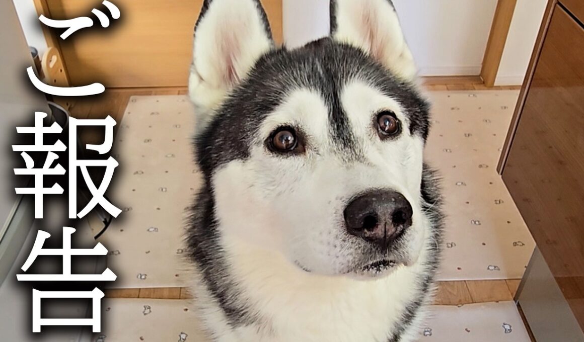 嬉しいご報告があります...