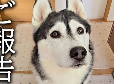 嬉しいご報告があります...