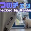 バーマン猫ラフ【ラフのチェック】Checked by Raphael（バーマン猫）Birman/Cat