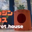 バーマン猫ラフ【ニンジンハウス】Carrot house（バーマン猫）Birman/Cat