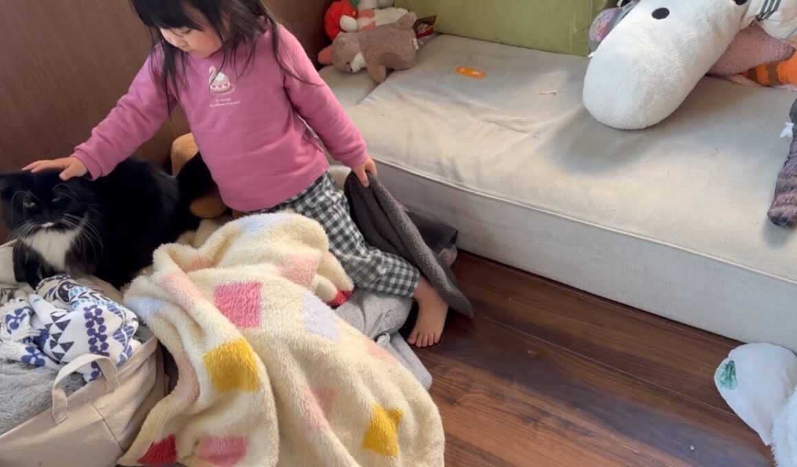 コーヒーメーカの違いに気づく猫　ラガマフィン