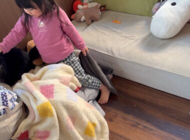 コーヒーメーカの違いに気づく猫　ラガマフィン