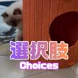バーマン猫ラフ【選択肢】Choices（バーマン猫）Birman/Cat