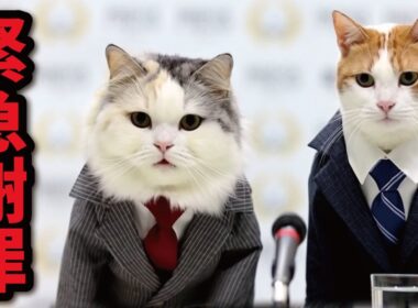 皆様に謝りたいことがございます