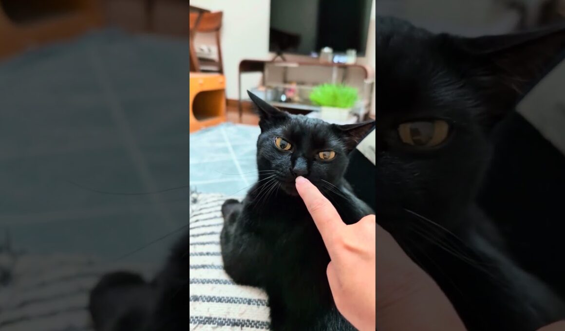 なあに？の「んんっ」とやめてよ〜の「いやぁ〜ん」