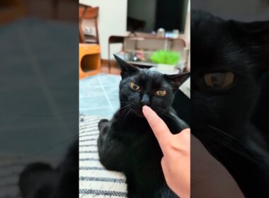 なあに？の「んんっ」とやめてよ〜の「いやぁ〜ん」