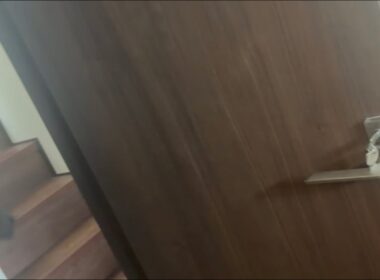 同居猫が飼い主と遊んでいるところを外からじっと見つめる猫　ラガマフィン