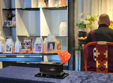8年半一緒に過ごした故愛猫シャムエの供養【般若心経👼】