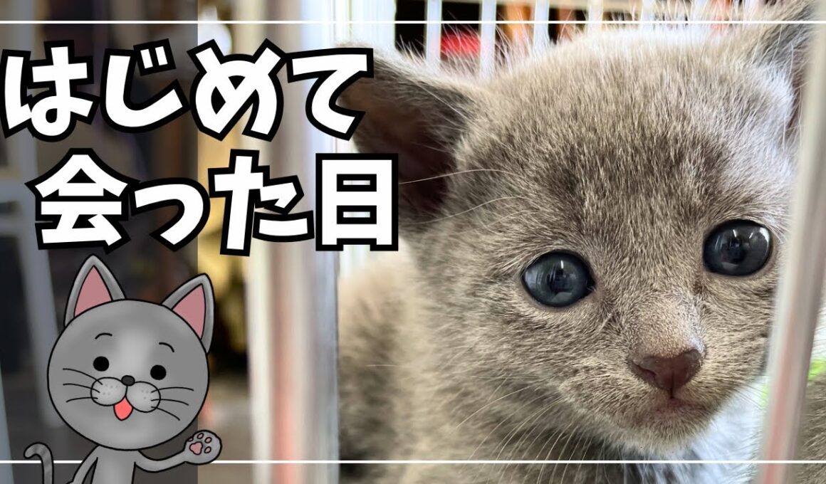 はじめて出会った日｜あの日からすべてが始まった