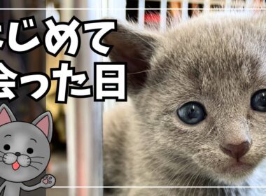 はじめて出会った日｜あの日からすべてが始まった