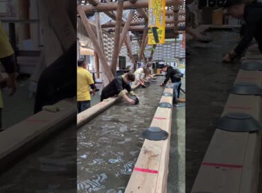 砂金取りにチャレンジするメインクーンブリーダー