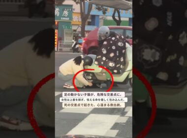 後ろ足が動かない子猫を救った心温まる瞬間 #猫救助 #保護猫 #子猫 #心温まる #感動