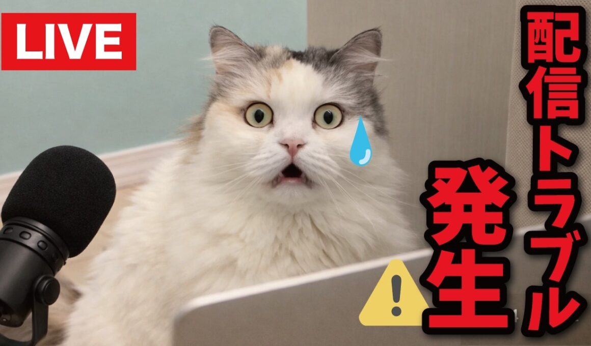 【反省】生配信が事故だらけな件について