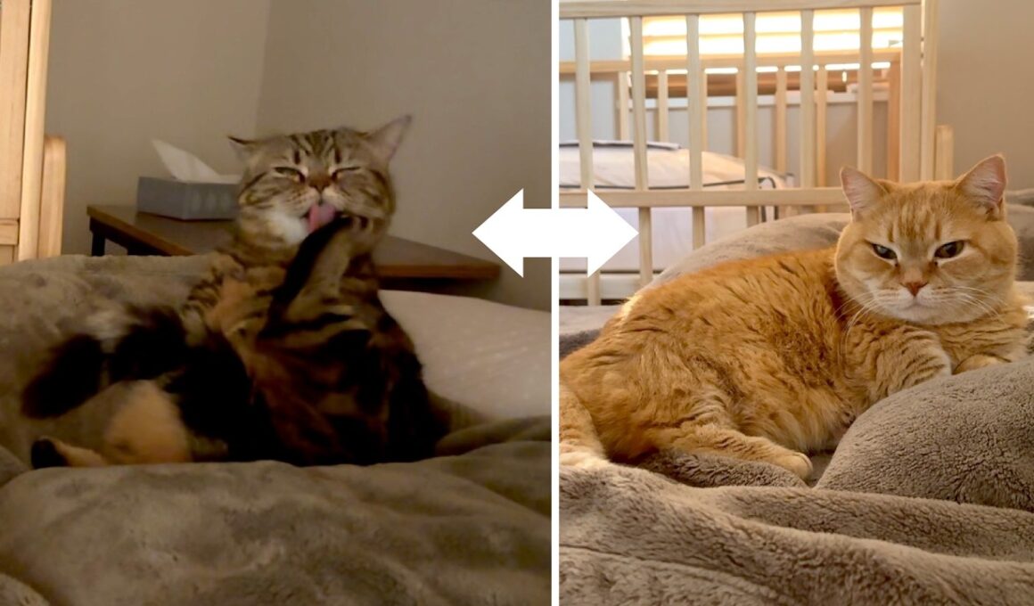 【ママ入院2日目夜〜3日目朝】君の名は？