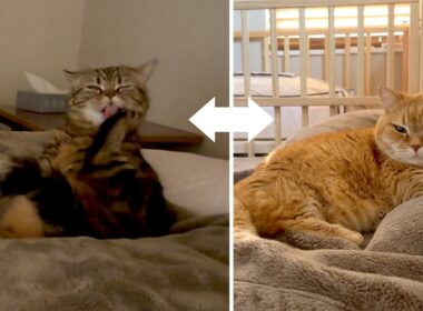 【ママ入院2日目夜〜3日目朝】君の名は？