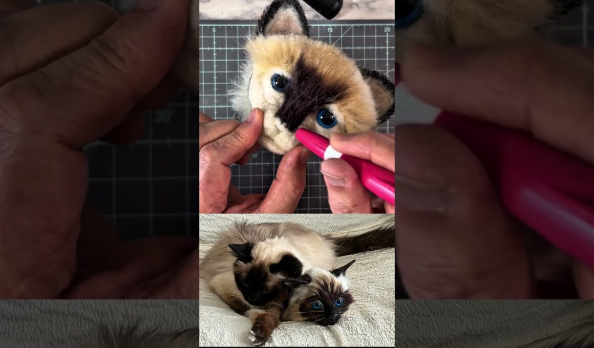 【超リアル】本物の猫と並べてみたら…激似すぎて二度見不可避！ #バーマン #handmade