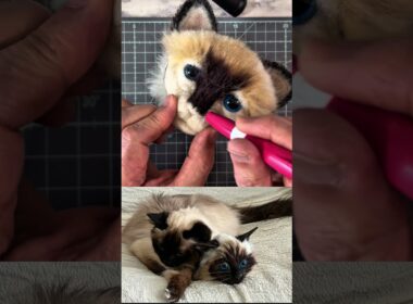 【超リアル】本物の猫と並べてみたら…激似すぎて二度見不可避！ #バーマン #handmade