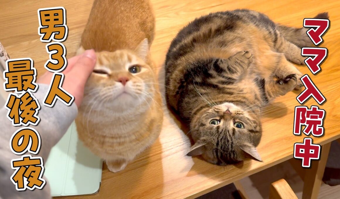 ママの入院中、一番寂しがっていたのはまさかの…！？