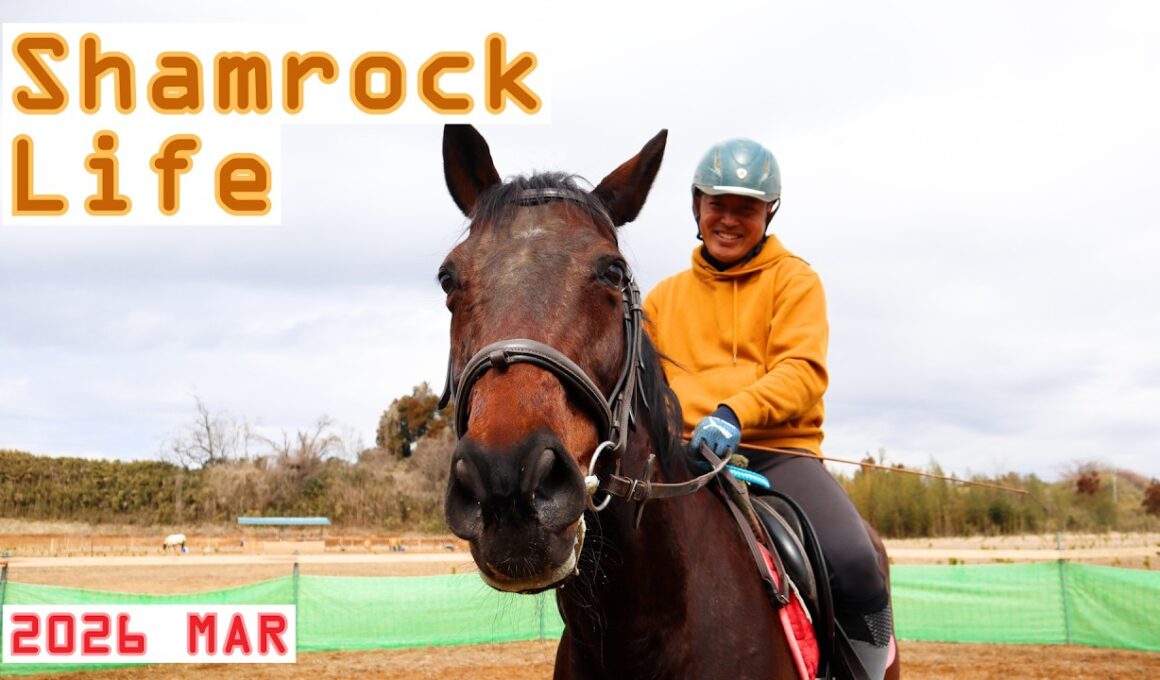 永遠の片思い…？/3月前半のVlog