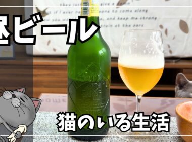 春の昼からビールを飲んでたら猫がこうなりました