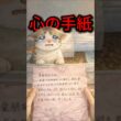 捨てられたと思った子猫…箱の中に“手紙”があった