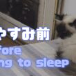 バーマン猫ウリとラフとガブ【おやすみ前】Before going to sleep（バーマン猫）Birman/Cat