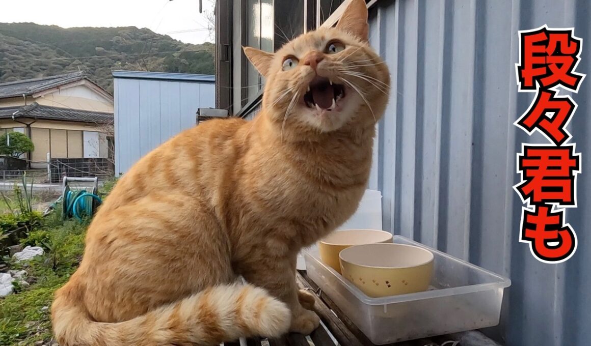 ‼️わさびが、、、感慨深いです‼️　みんな日に日に😊　のんびり日記😊
