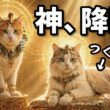 【検証】猫にエジプトの音楽を聴かせると神様だった頃の記憶が蘇るらしい…