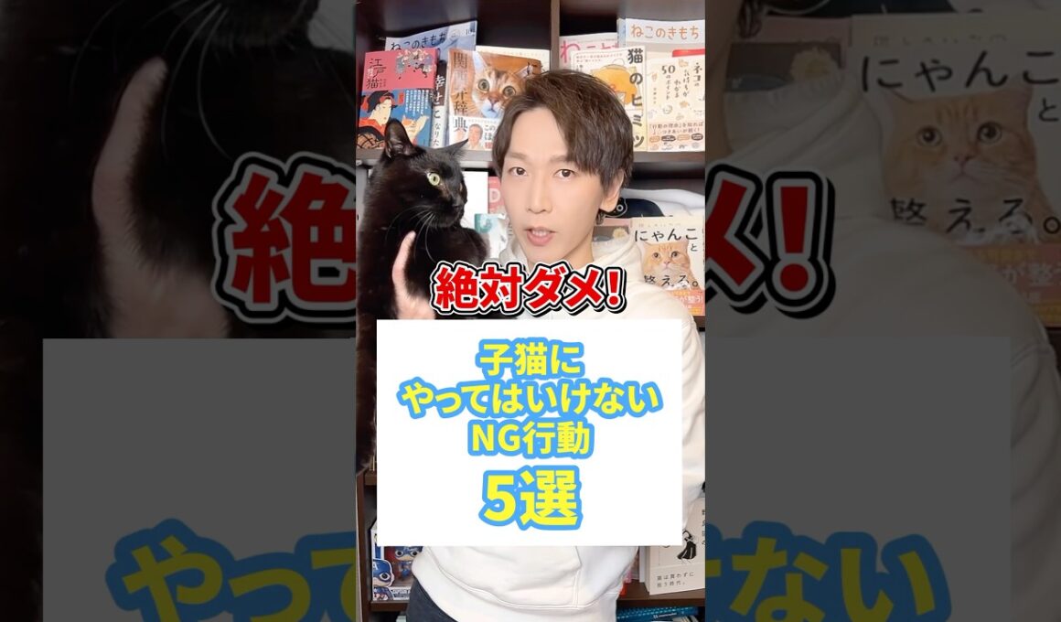 絶対ダメ！子猫にやってはいけないNG行動５選 #猫 #子猫 #猫のいる暮らし