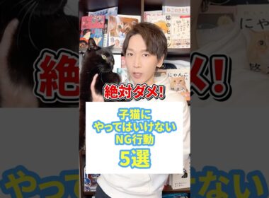 絶対ダメ！子猫にやってはいけないNG行動５選 #猫 #子猫 #猫のいる暮らし