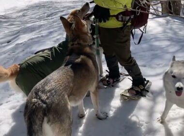 2/15&21&3/8スノーシュー