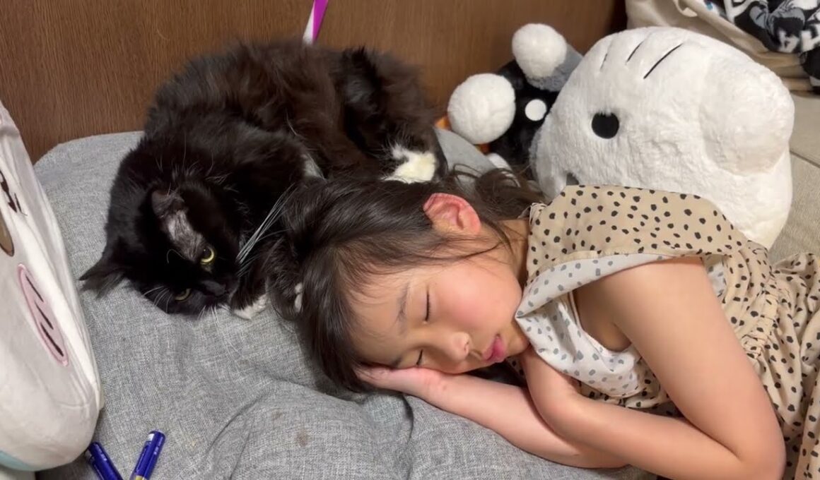 熟睡中なのにモフモフしてる娘と予想外の反撃に出る猫　ラガマフィン